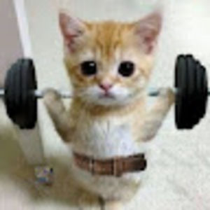 Meet your Posher, Seth